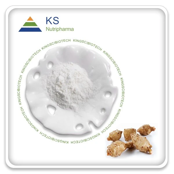 Extract de cicoare pulbere